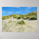 Zoek naar duinen posters Natuur