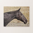 Zoek naar paarden puzzels Voor iedereen