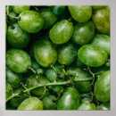 Zoek naar groene druiven posters Voor iedereen