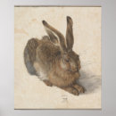 Zoek naar hazen posters Rabbit