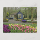 Zoek naar keukenhof briefkaarten Bloem