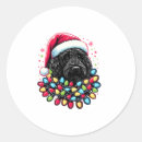Zoek naar zwarte labradoodle stickers Hond