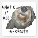 Zoek naar hond neus stickers Humor