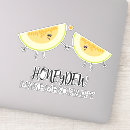 Zoek naar meloenen stickers Elk persoon