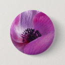 Zoek naar anemonen buttons Paars