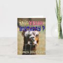 Zoek naar grappige alpaca kaarten Elk persoon