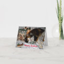 Zoek naar kattenkerstmis kaarten Voor iedereen