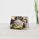 Zoek naar grappige schildpad uitnodigingen Elk persoon