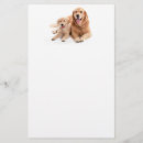 Zoek naar golden retriever briefpapier Puppy