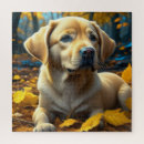 Zoek naar labrador puzzels Najaar