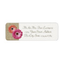 Zoek naar roze gerbera daisy Flora