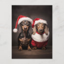 Zoek naar grappige santa briefkaarten Dieren