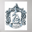 Zoek naar slytherin posters Jk rowling