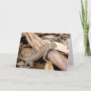 Zoek naar hagedissen kaarten Fotografie