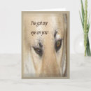 Zoek naar paypal briefkaarten Geheime vriend