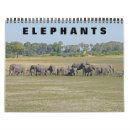 Zoek naar elephant kalenders Olifant