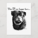 Zoek naar happy face briefkaarten Hond