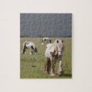 Zoek naar landbouw puzzels Buiten