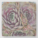 Zoek naar kippen onderzetters Natuur