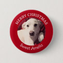 Zoek naar afbeeldingen honden buttons Fotografie