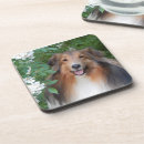 Zoek naar sheltie onderzetters Shetland sheepdog