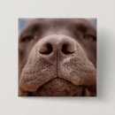 Zoek naar neus buttons Puppy