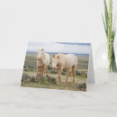 Zoek naar hengsten kaarten uitnodigingen Ranch