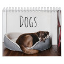 Zoek naar honds kalenders Corgi