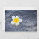 Zoek naar plumeria briefkaarten Spa