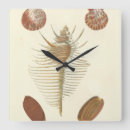 Zoek naar soorten klokken Natuur