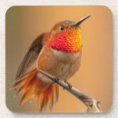 Zoek naar kolibrie onderzetters Tuin