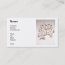 Zoek naar rabbit visitekaartjes Konijnen