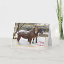 Zoek naar poney posters Grappig
