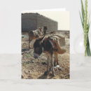 Zoek naar muilezel kaarten Paard