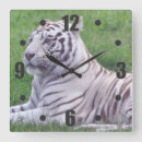 Zoek naar witte tijger klokken Wild