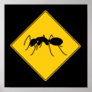 Zoek naar grappige mier posters Insect
