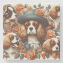 Zoek naar cavalier king charles spaniel onderzetters Schattig