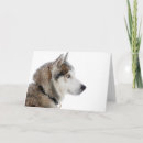 Zoek naar sneeuwhond kaarten Schattige hond