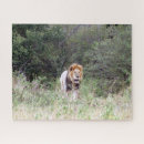 Zoek naar kenya puzzels Wild