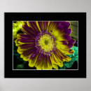 Zoek naar dahlia kunst Natuur