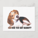Zoek naar beagle briefkaarten Dieren