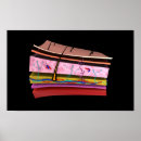 Zoek naar zenuwstelsel kunst Zenuwen