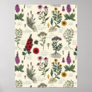 Zoek naar herbarium posters Botanisch