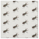 Zoek naar kevers knutsel hobby Bug