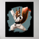 Zoek naar zwarte band posters Karate meester