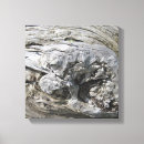 Zoek naar drijfhout kunst Driftwood