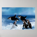 Zoek naar zee wereld posters Voor haar