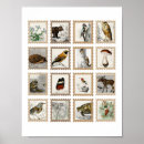 Zoek naar vintage bird kunst Voor haar