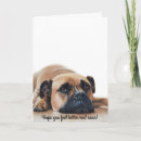 Zoek naar voel beter spoedig kaarten Hond