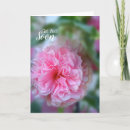 Zoek naar stokroos kaarten Voor iedereen